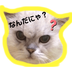 [LINEスタンプ] まめはちみるきーさくらもずくそら