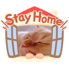 [LINEスタンプ] ねこw
