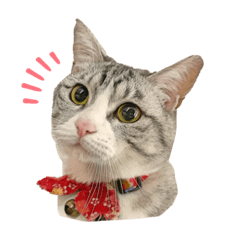 [LINEスタンプ] えまちゃんすたんぷVol.1