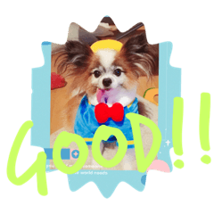 [LINEスタンプ] 最高に可愛いワンコ友達