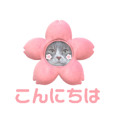 [LINEスタンプ] ねこ好き注意スタンプ2