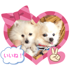 [LINEスタンプ] リコたんandりく君！
