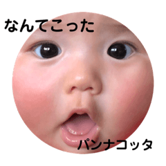 [LINEスタンプ] みやぽんぽん