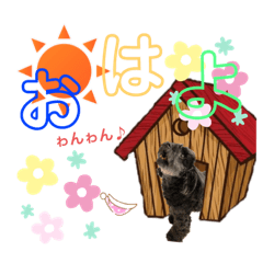[LINEスタンプ] 黒トイプーのマロンちゃん