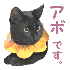 [LINEスタンプ] アボです！