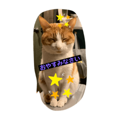 [LINEスタンプ] まやまやまやまやの画像（メイン）