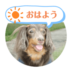 [LINEスタンプ] くるみ＆あんずPart3