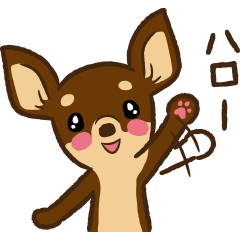 [LINEスタンプ] チョコタン スムースチワワ スタンプ