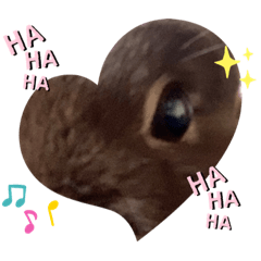 [LINEスタンプ] ヒトんチのうさ 2