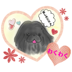 [LINEスタンプ] 黒ペキ イラストスタンプ