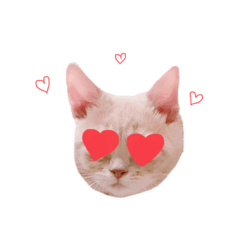 [LINEスタンプ] みもら