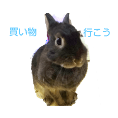 [LINEスタンプ] うさスタンプ1
