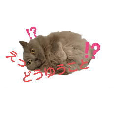 [LINEスタンプ] ルイとコーラ3