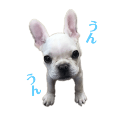 [LINEスタンプ] ロンとよしお①