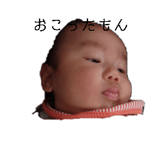 [LINEスタンプ] わたみのスタンプ