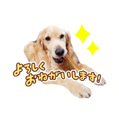 [LINEスタンプ] ノエルたんスタンプ登場