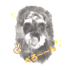 [LINEスタンプ] もなもなシュナーズ2