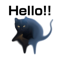 [LINEスタンプ] 加工ネコ