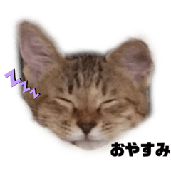 [LINEスタンプ] こなつ0510