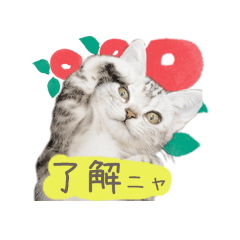 [LINEスタンプ] 猫の鈴2