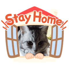 [LINEスタンプ] ぶんじスタンプVol.1