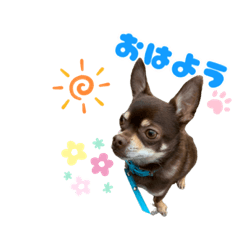 [LINEスタンプ] チップチップ♫