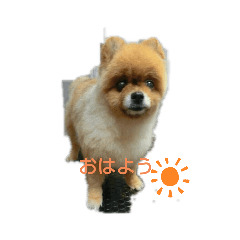 [LINEスタンプ] Daichan2_20200509091537