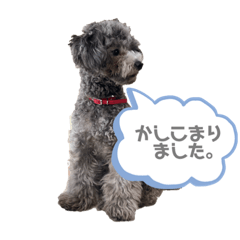 [LINEスタンプ] むろんちのわん。