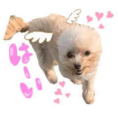 [LINEスタンプ] ルイとティノのまいにち②❤️