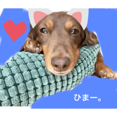[LINEスタンプ] ルイちゃんラプちゃん