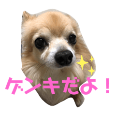 [LINEスタンプ] ゲンキの大冒険