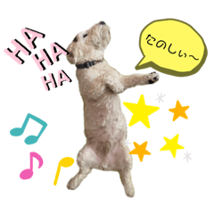 [LINEスタンプ] ぽけらくの日常
