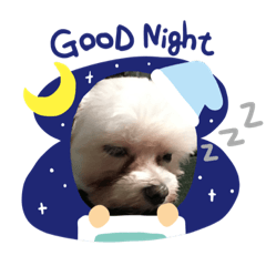 [LINEスタンプ] simpleスタンプ1