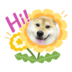 [LINEスタンプ] ちこちーこ