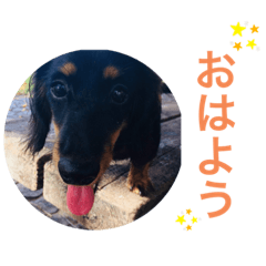 [LINEスタンプ] マルオとセブン