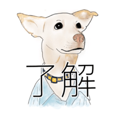 [LINEスタンプ] わが家のいぬ
