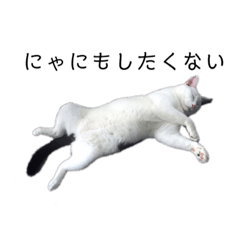 [LINEスタンプ] もふもふひなたのスタンプ