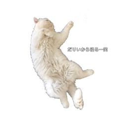 [LINEスタンプ] マロ＆ペル