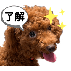 [LINEスタンプ] ラクスタンプ③