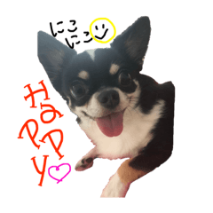 [LINEスタンプ] ぶぅぺろstamp