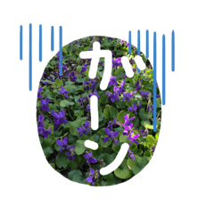 [LINEスタンプ] フラワー ひとことメッセージ