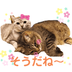 [LINEスタンプ] まりんとちび