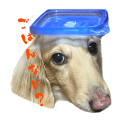 [LINEスタンプ] 今日も可愛いミントくん！