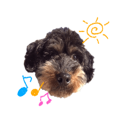 [LINEスタンプ] 気ままにエイトくん