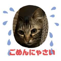 [LINEスタンプ] ミーシャ ♯1