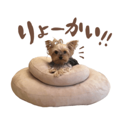 [LINEスタンプ] 犬のむぎちゃん
