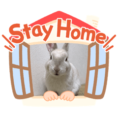 [LINEスタンプ] モフモフっちょ