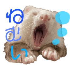 [LINEスタンプ] むすみくスタンプ☆1