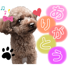 [LINEスタンプ] 苺愛（べりーあ）ちゃん