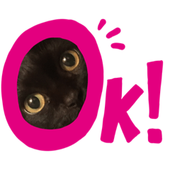 [LINEスタンプ] スイートキャット